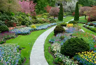 Landscape Garden at Arkade Vistas